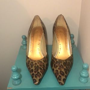 BCBGirls Leopard Heels